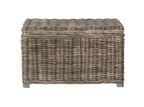 Mikasi Trunk - SEA7018 - Grey - Safavieh