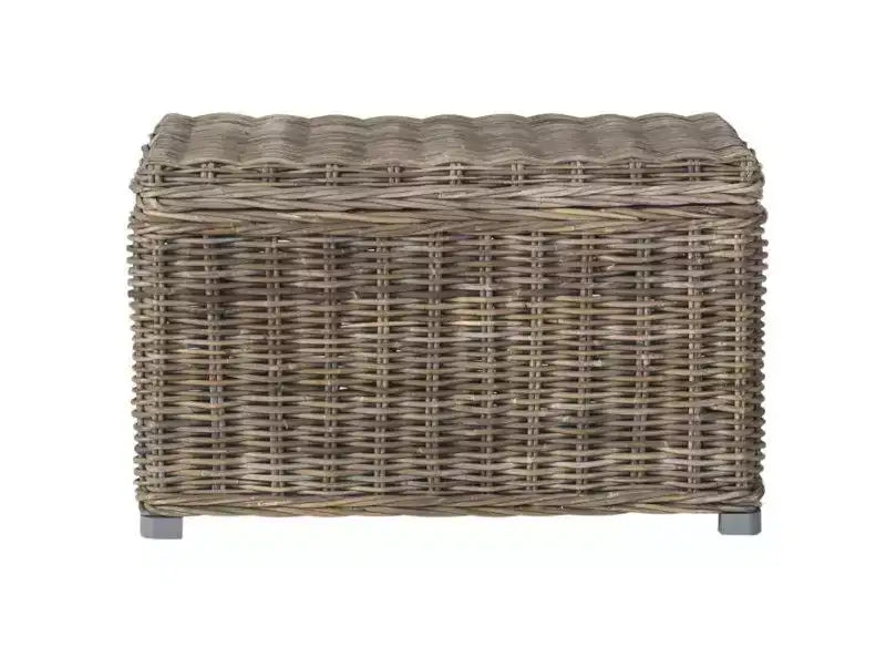 Mikasi Trunk - SEA7018 - Grey - Safavieh