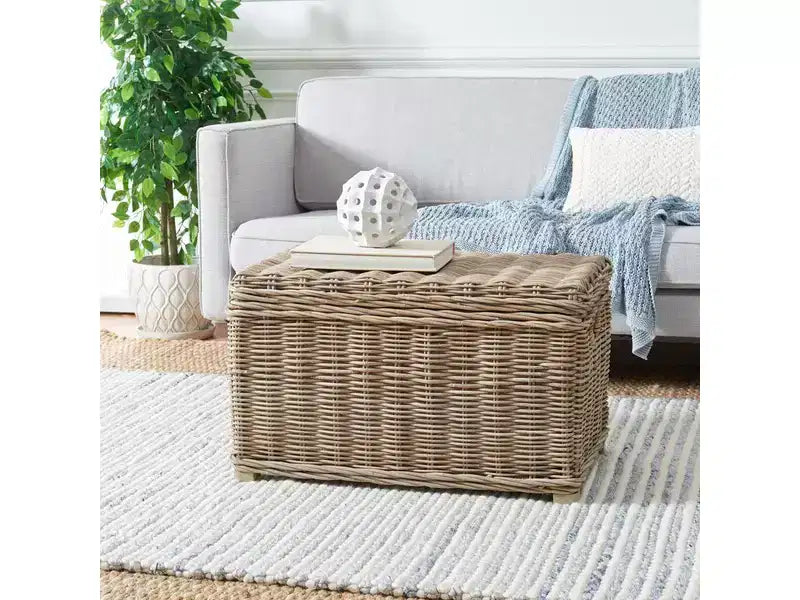 Mikasi Trunk - SEA7018 - Gris - Safavieh