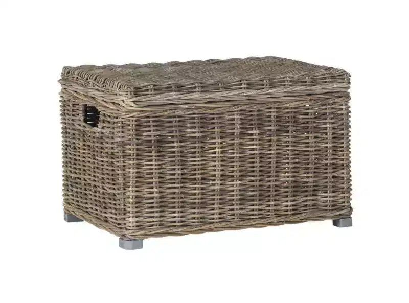 Mikasi Trunk - SEA7018 - Gris - Safavieh