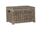 Mikasi Trunk - SEA7018 - Gris - Safavieh