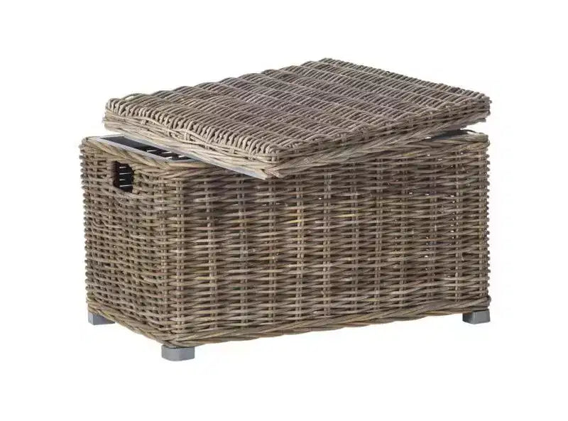 Mikasi Trunk - SEA7018 - Gris - Safavieh